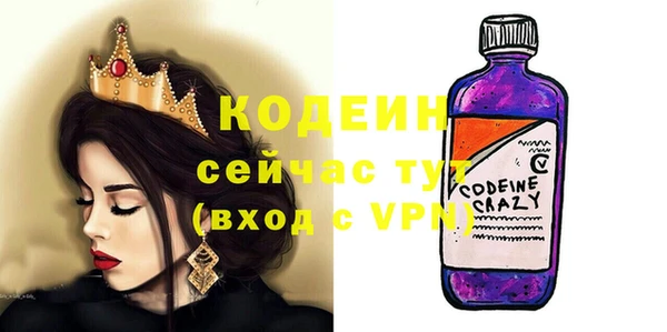 индика Алексин
