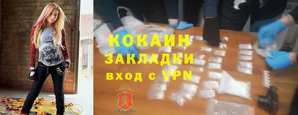 индика Алексин