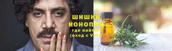 ПСИЛОЦИБИНОВЫЕ ГРИБЫ Алзамай