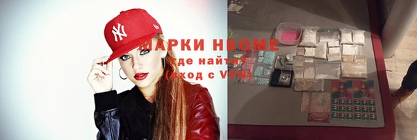 индика Алексин