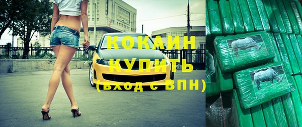 индика Алексин