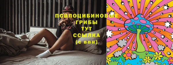 ПСИЛОЦИБИНОВЫЕ ГРИБЫ Абинск