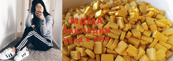 индика Алексин