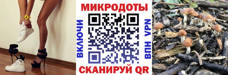 Псилоцибиновые грибы мухоморы  Нолинск 